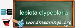 WordMeaning blackboard for lepiota clypeolaria